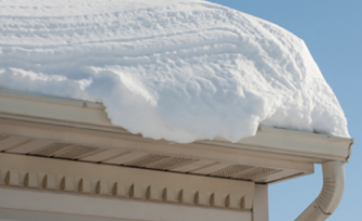 Roof Cleaning in Inner West Sydney